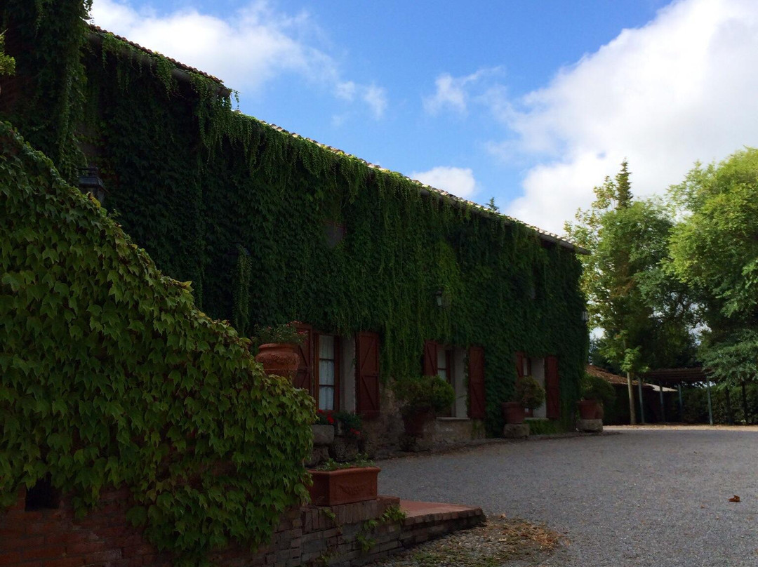 Hotel La Fattoria主图