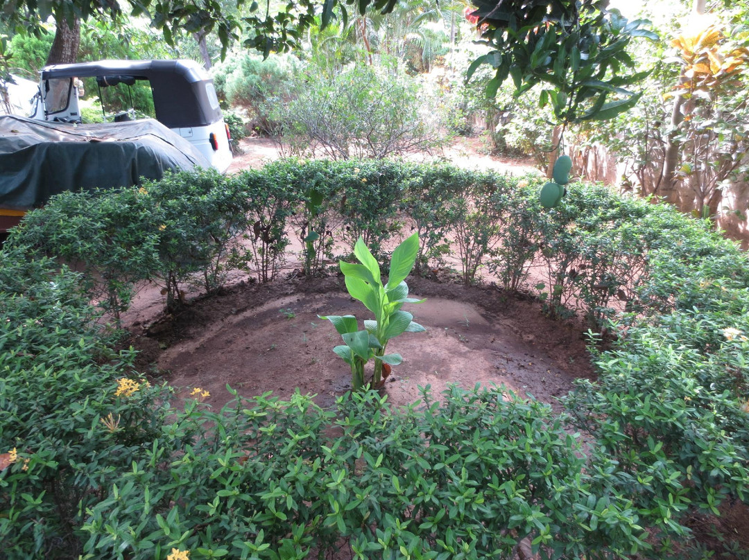 Sarras Guest House主图