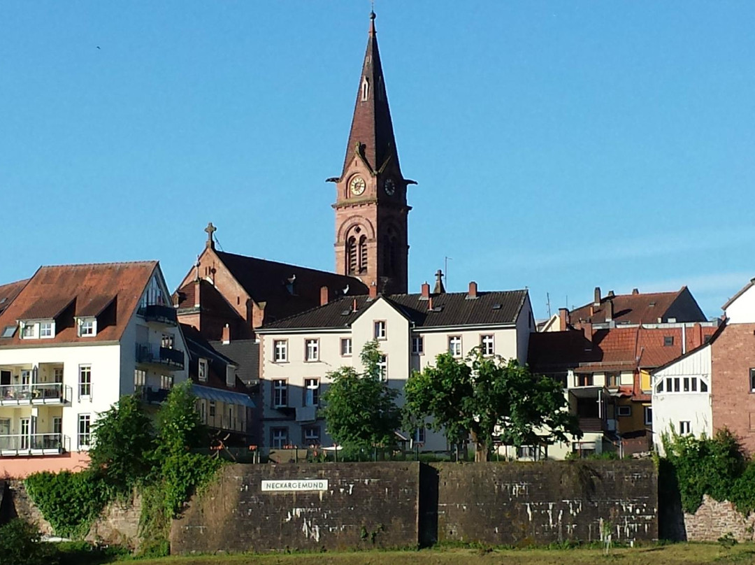 Hirschhorn (Neckar)旅游攻略图片