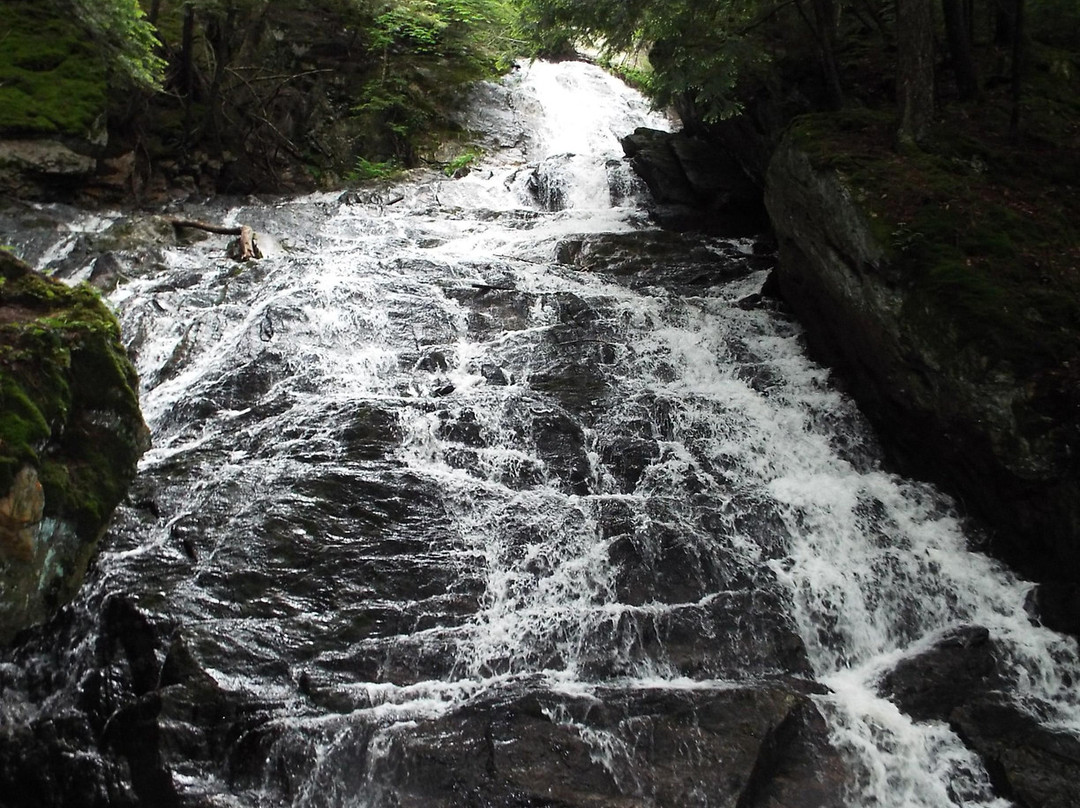 Thundering Brook Falls Trail-基灵顿必去景点