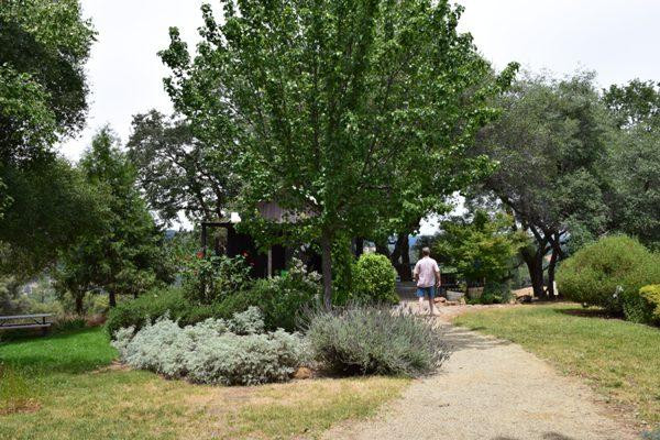 Story Winery景点图片