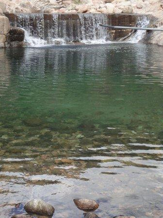 索科特拉群岛景点图片