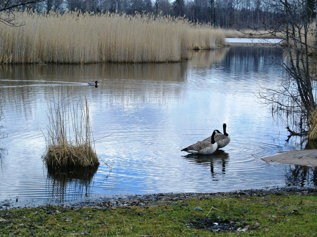 Säbysjön