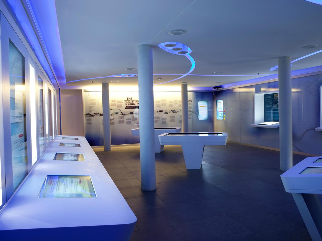 The Levinson Visitors Center-雷霍沃特必去景点