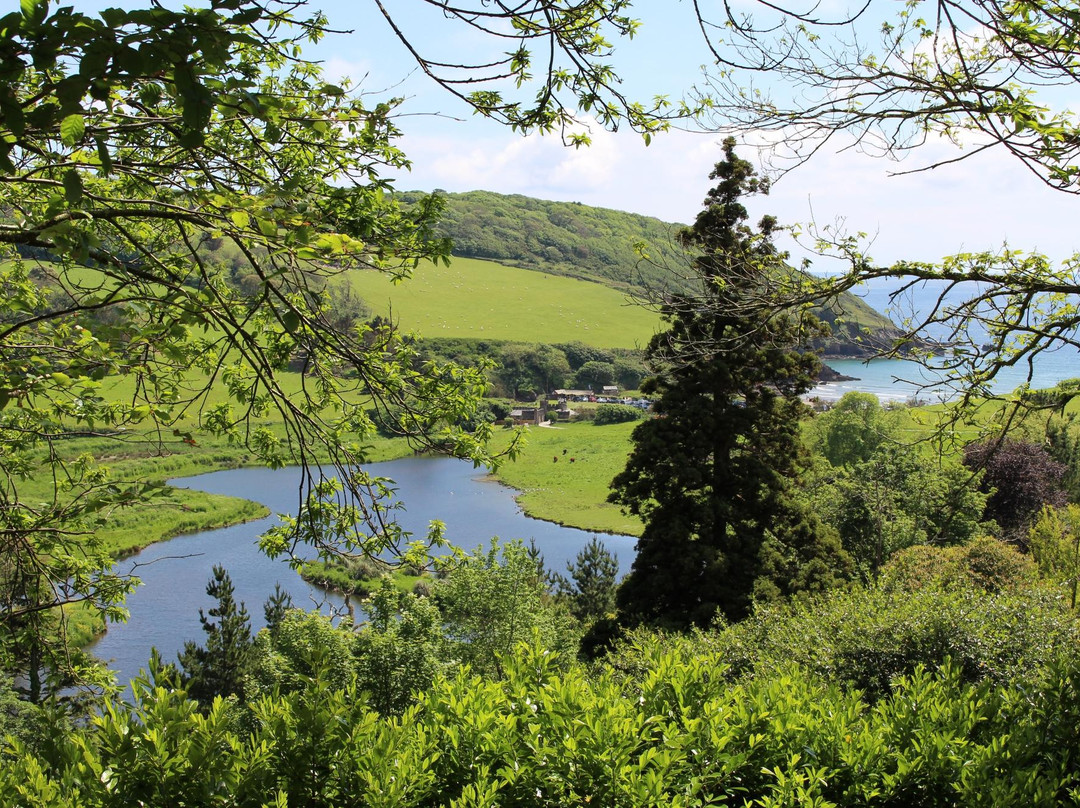 Caerhays Castle景点图片