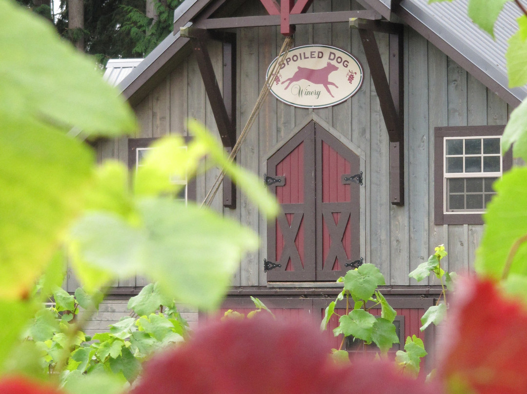 Spoiled Dog Winery景点图片