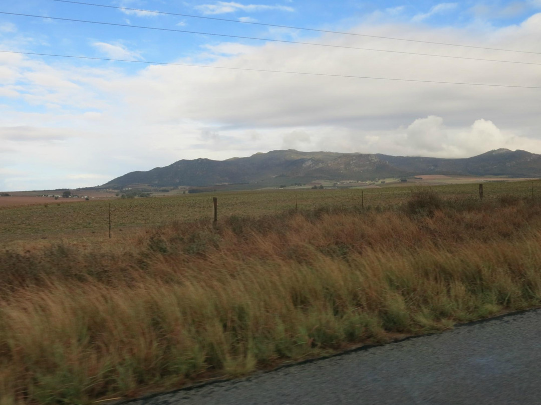 Winemakers Way-斯泰伦博斯必去景点