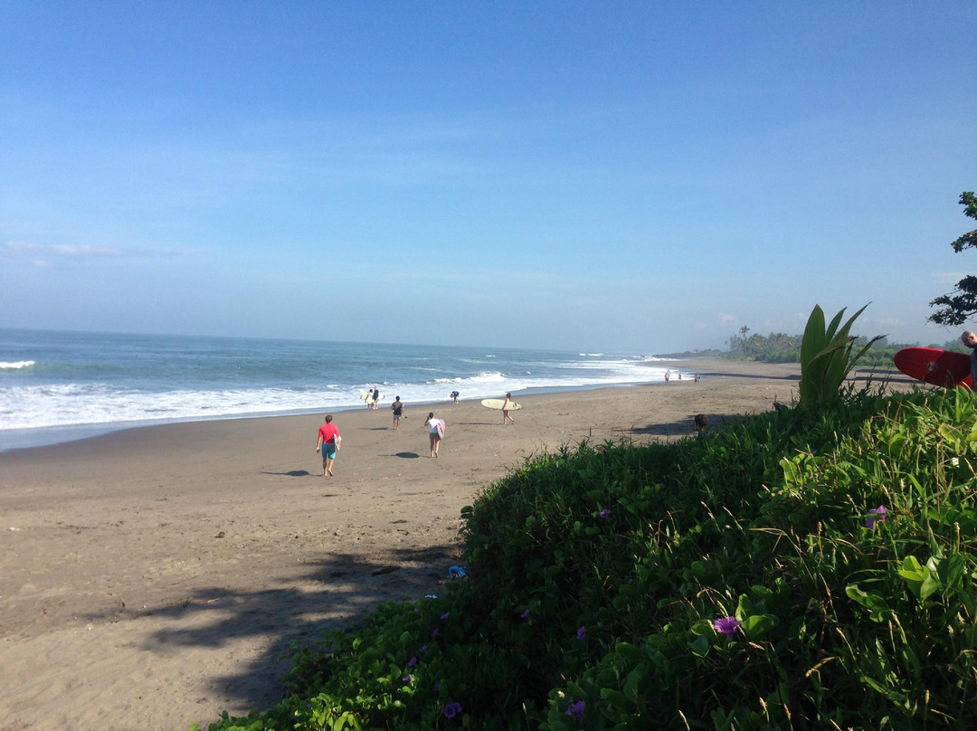 Baruna Surf Culture-长谷必去景点