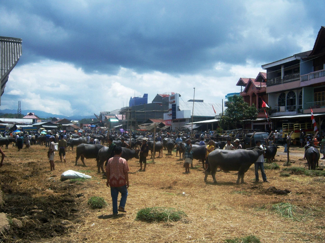 Rantepao Livestock Market景点图片