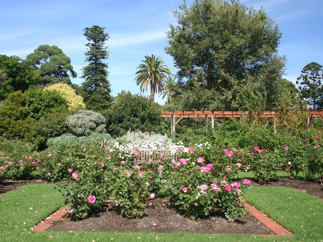 St Kilda Botanical Gardens景点图片