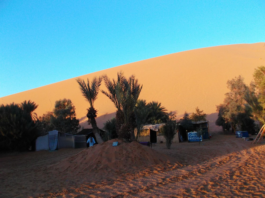 Saharaoasistours景点图片