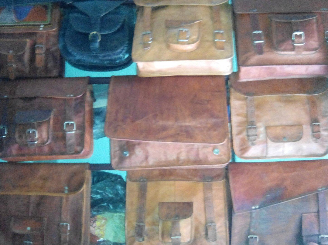 Leather art and Craft-乌代布尔必去景点