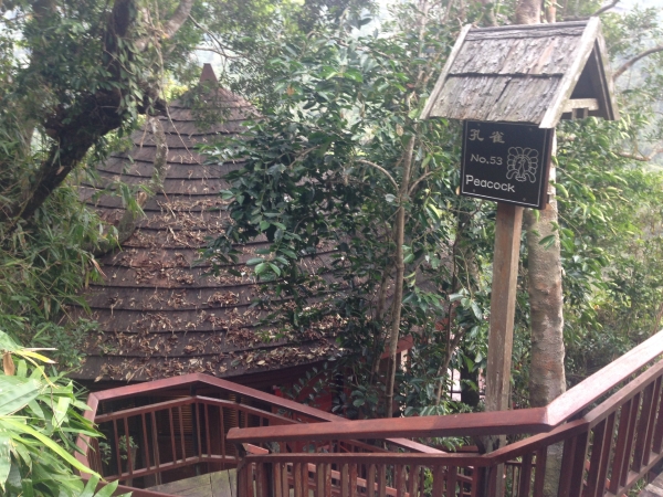 三亚亚龙湾人间天堂-鸟巢度假村-浴室