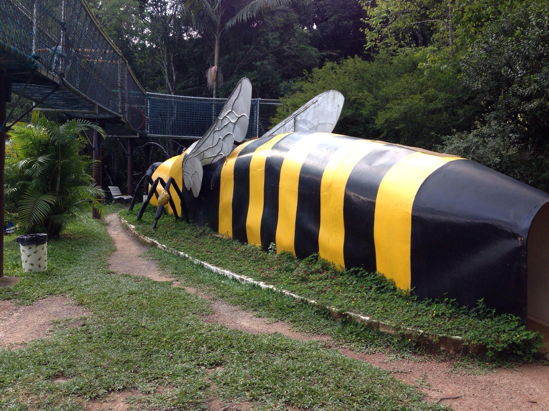 Cidade das Abelhas-Cotia必去景点