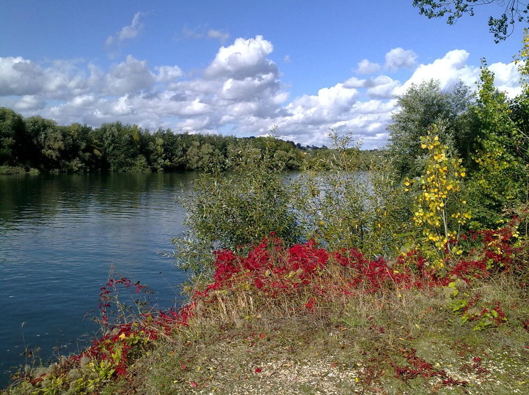 Parc départemental de la Boucle景点图片