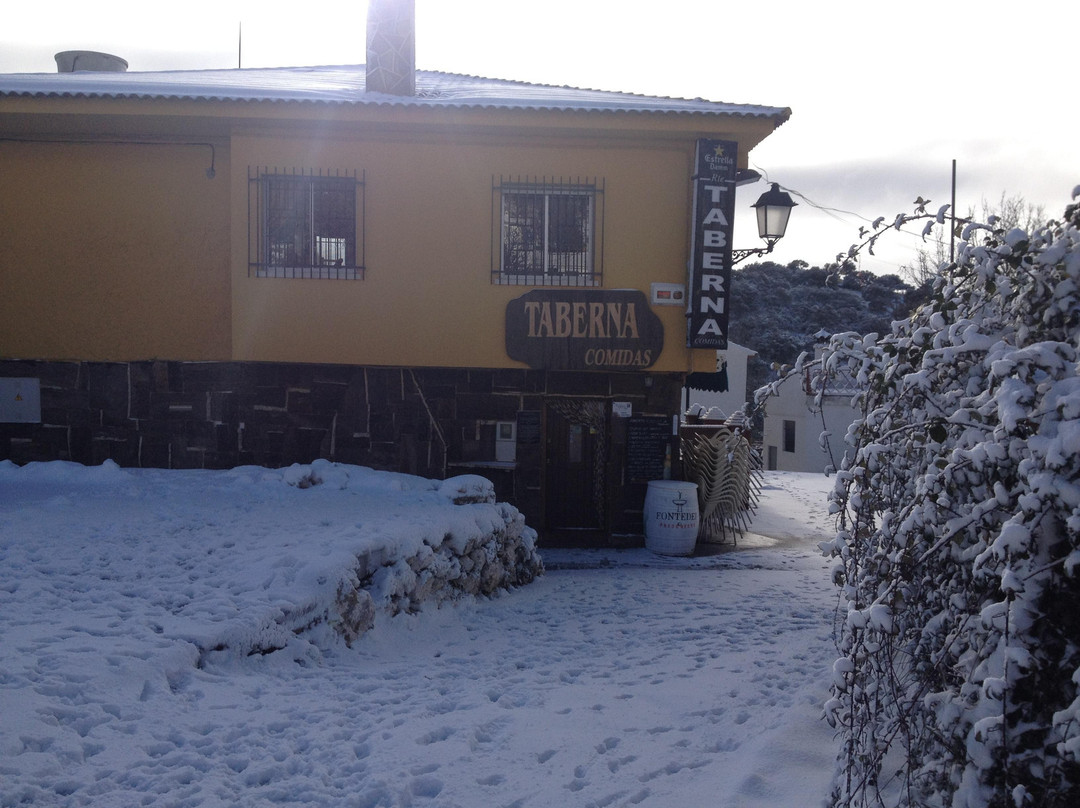 Iznalloz餐馆和美食-Taberna Prado Negro