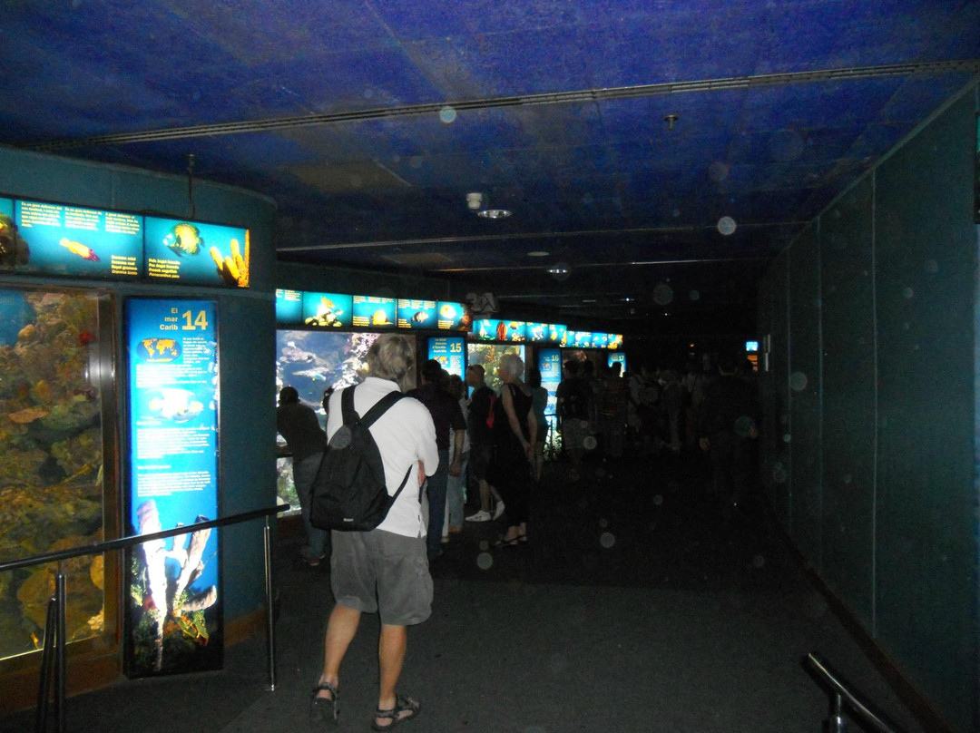 巴塞罗那水族馆-巴塞罗那必去景点