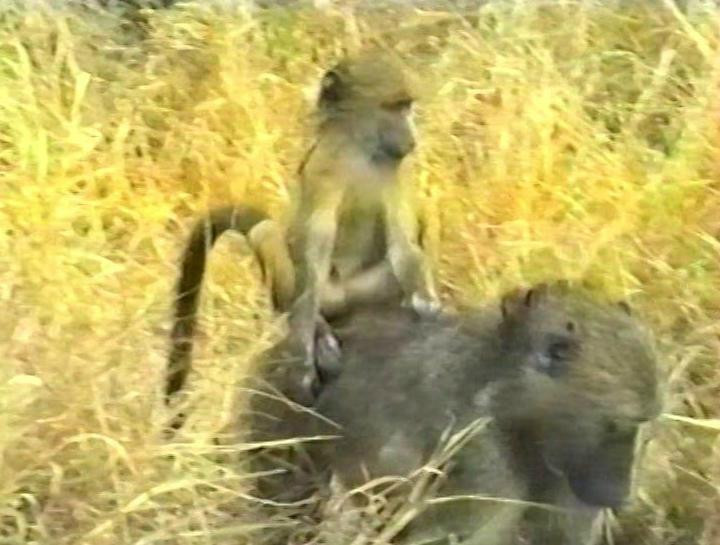 Phuza Moya Private Game Reserve-克鲁格国家公园必去景点