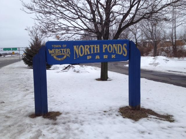North Ponds Park-Webster必去景点