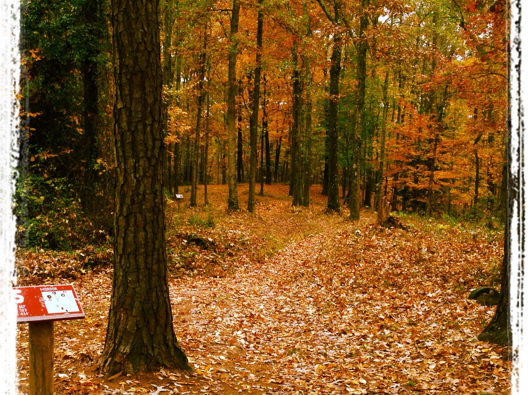Bower's Park Disc Golf Course景点图片