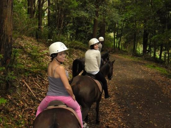 Otford Farm-Otford必去景点