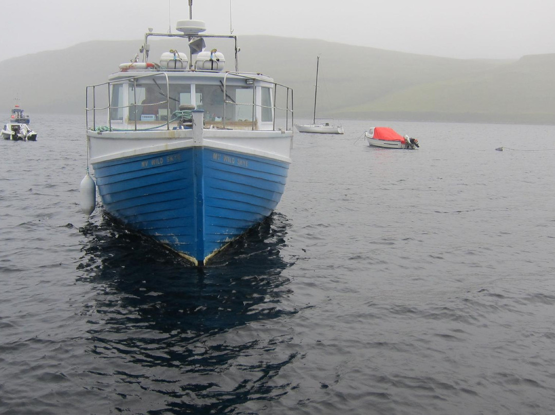 Wild Skye Boat Trips景点图片