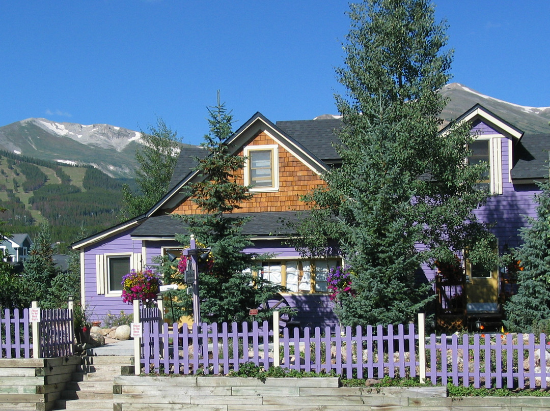 Abbett Placer Inn主图