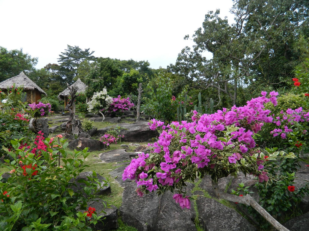 大皮皮岛观景点-大皮皮岛必去景点