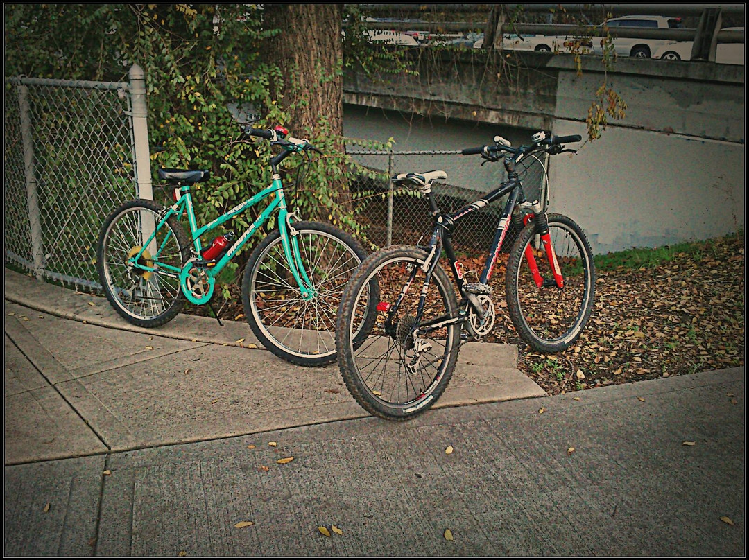 Iron Horse Trail-都柏林必去景点