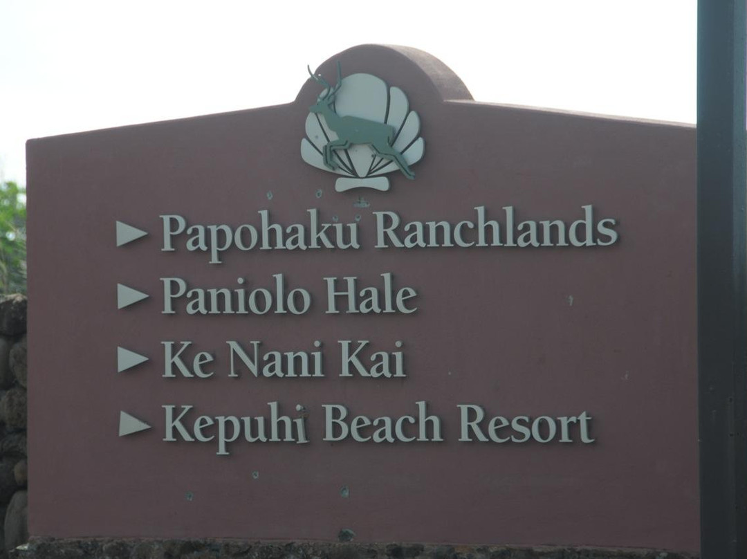 Mauna Loa Museum & Cultural Park-摩洛凯岛必去景点