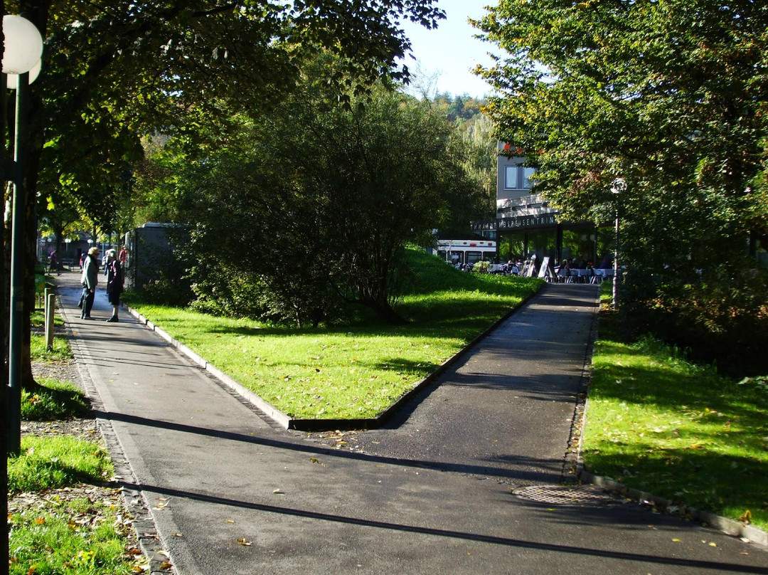 瓦利塞伦市旅游景点-Schwamendingerplatz