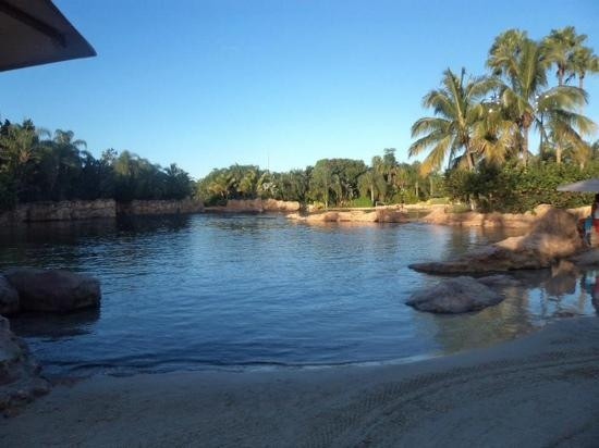 探索湾-奥兰多必去景点