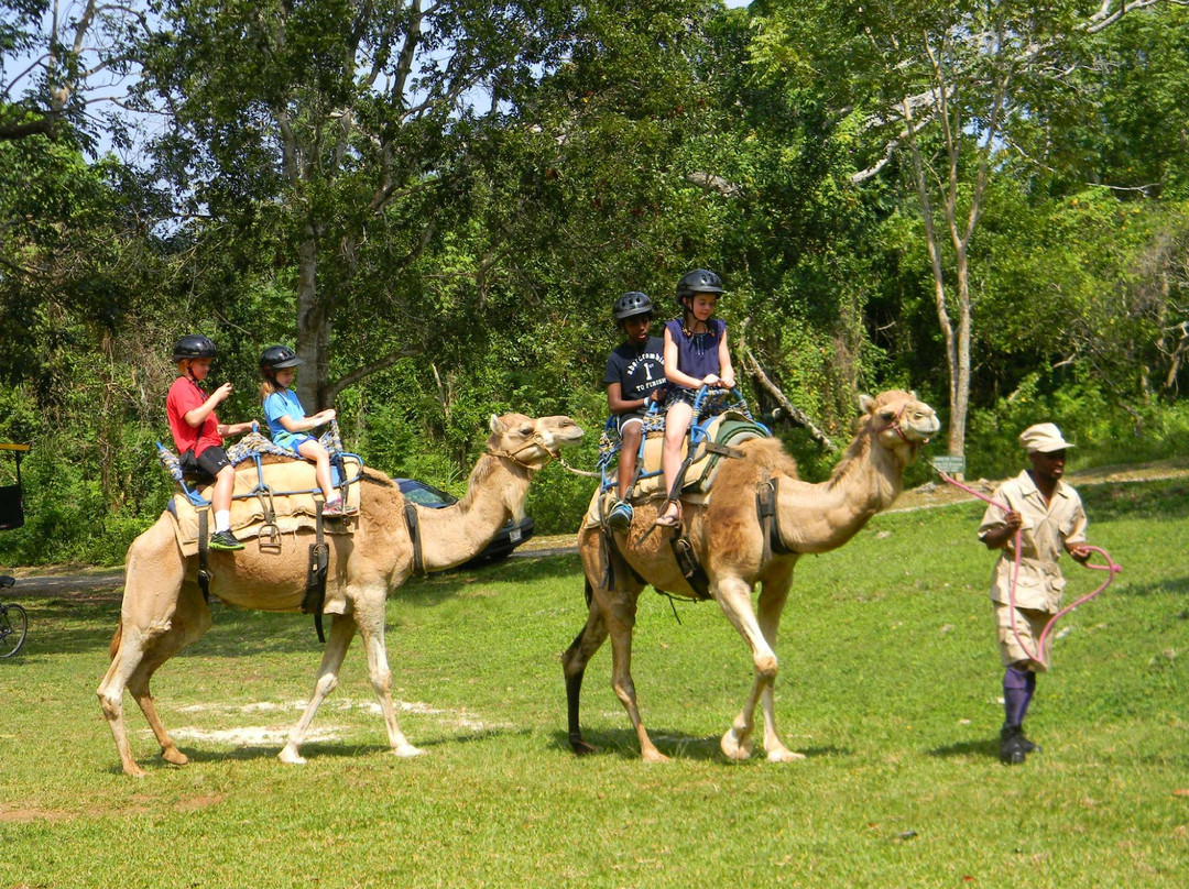 Yaaman Adventure Park景点图片