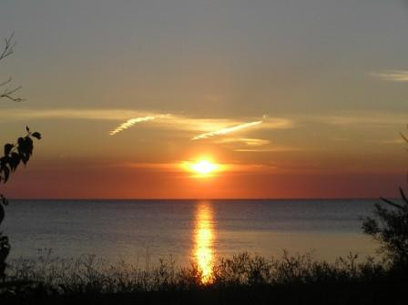 Point Pelee National Park-利明顿必去景点