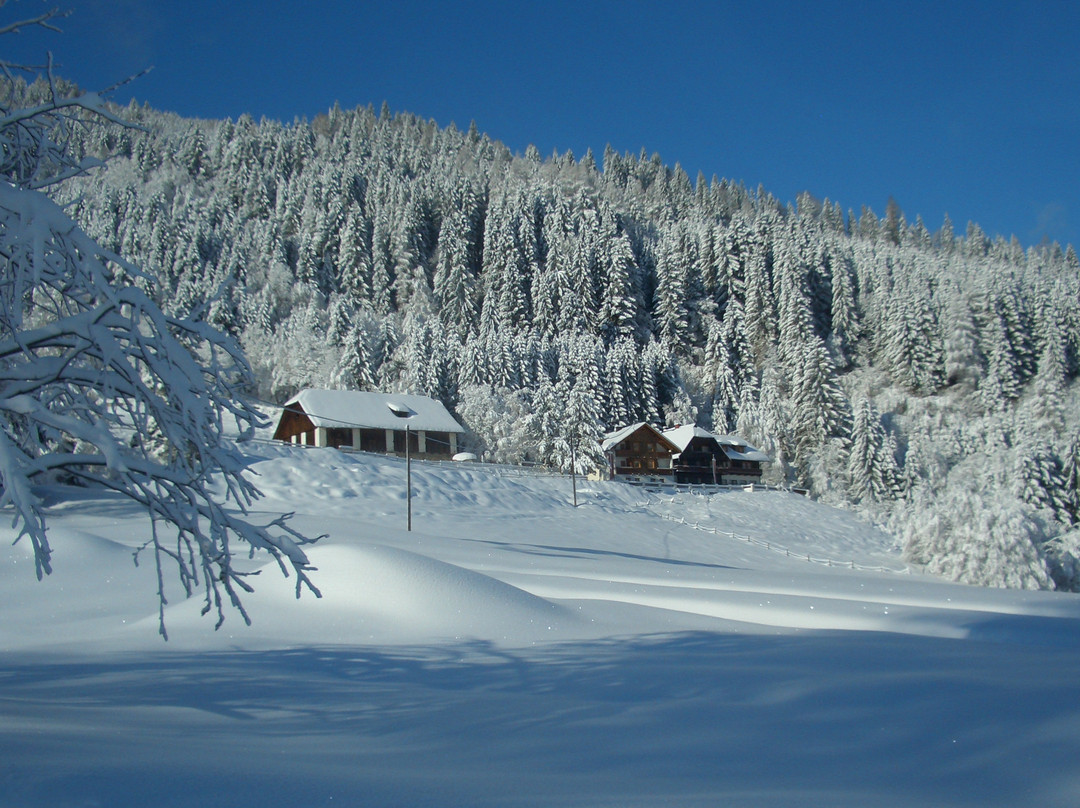 Thurnerhof Gasthof主图