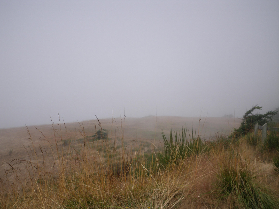 Fort Ebey State Park景点图片