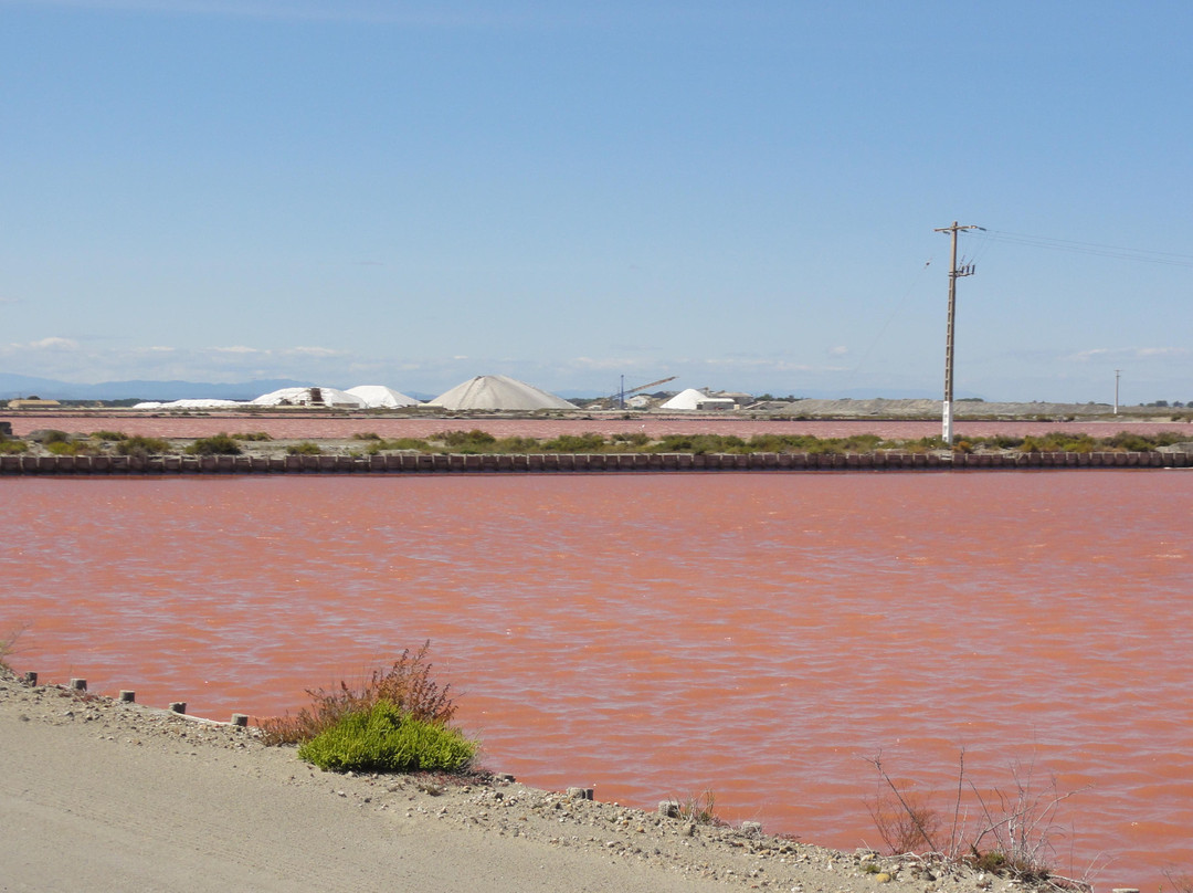 Salin d'Aigues-Mortes-艾格莫尔特必去景点
