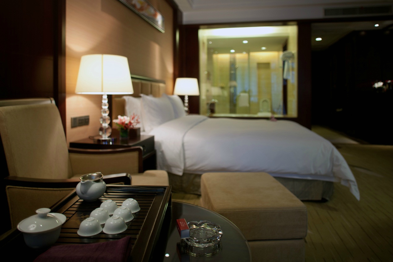 三正半山温泉酒店-客卧