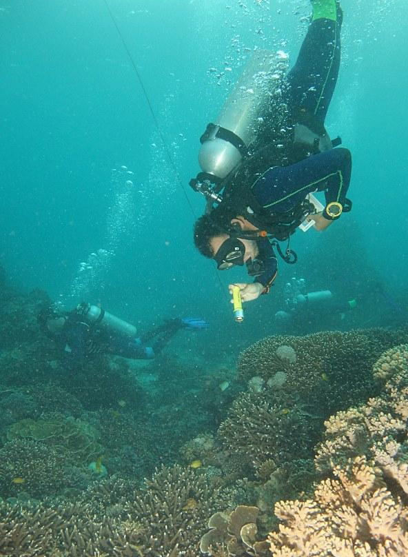 蓝角潜水-蓝梦岛必去景点