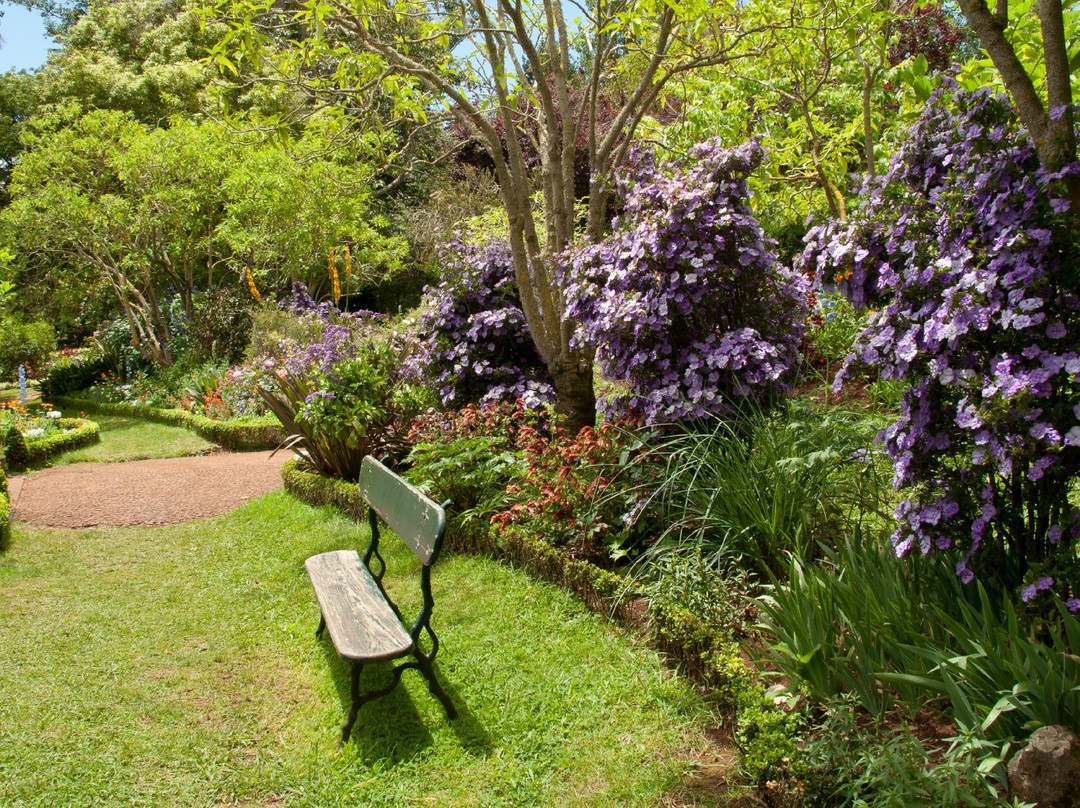 Palheiro Gardens-沙尔必去景点