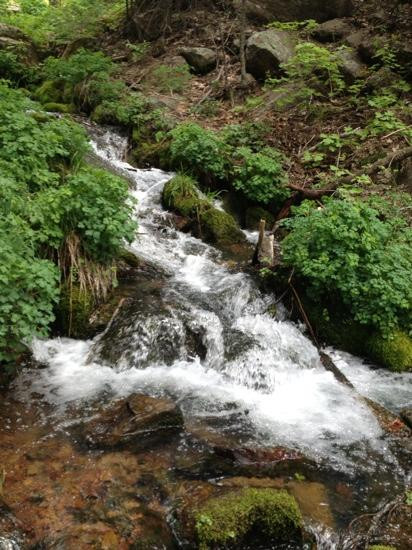 Horton Springs-Tonto Basin必去景点