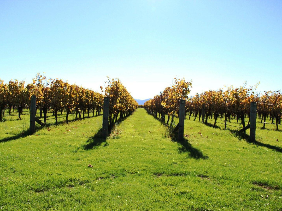 Marlborough Tours景点图片