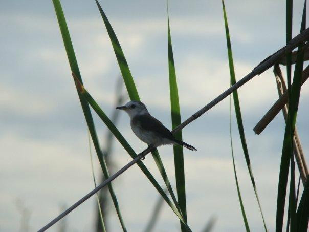 Formosa Receptiva-Formosa必去景点