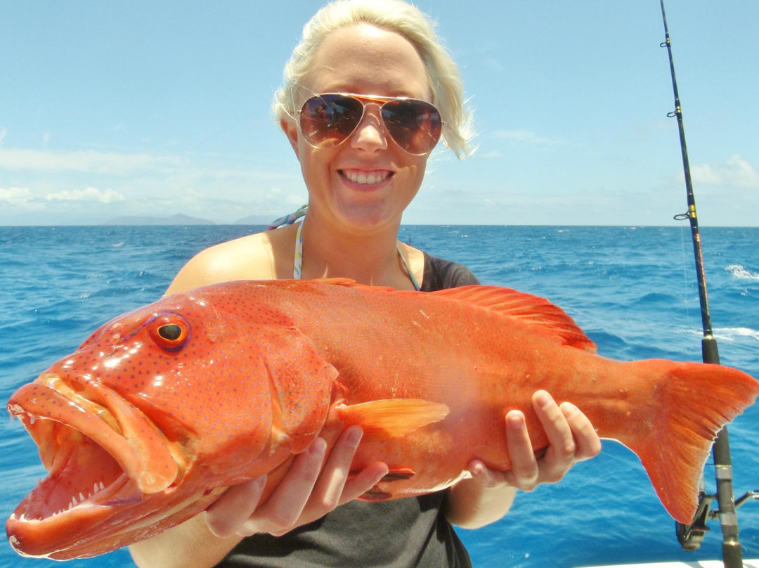 Cairns Reef Fishing-凯恩斯必去景点