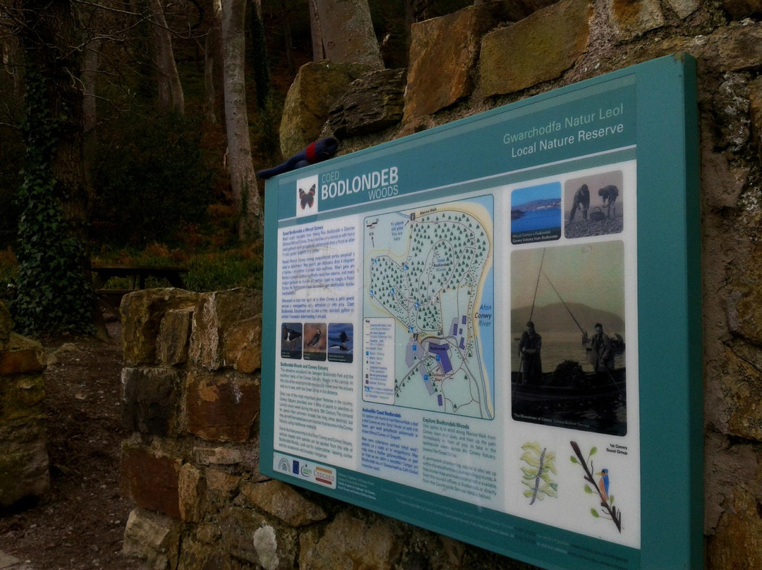 Bodlondeb Woods Local Nature Reserve景点图片