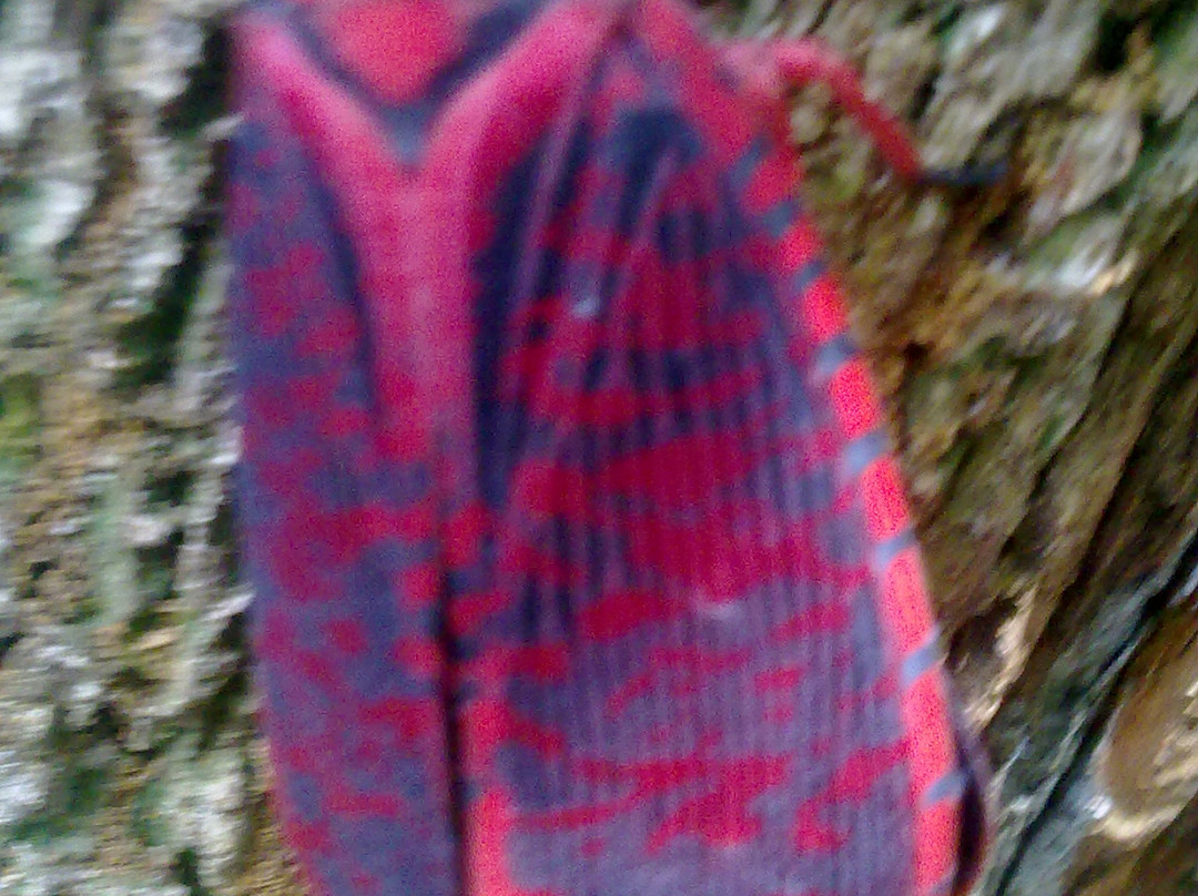 Sumatra Jungle Adventure景点图片