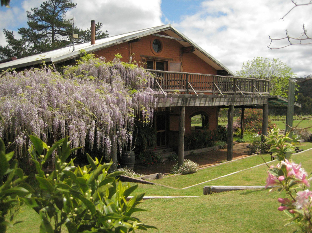 Mountford Organic Wines home of Tangletoe Cidery-彭伯顿必去景点