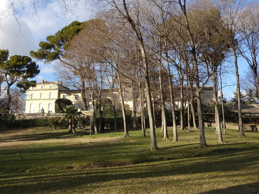 Château La Nerthe景点图片