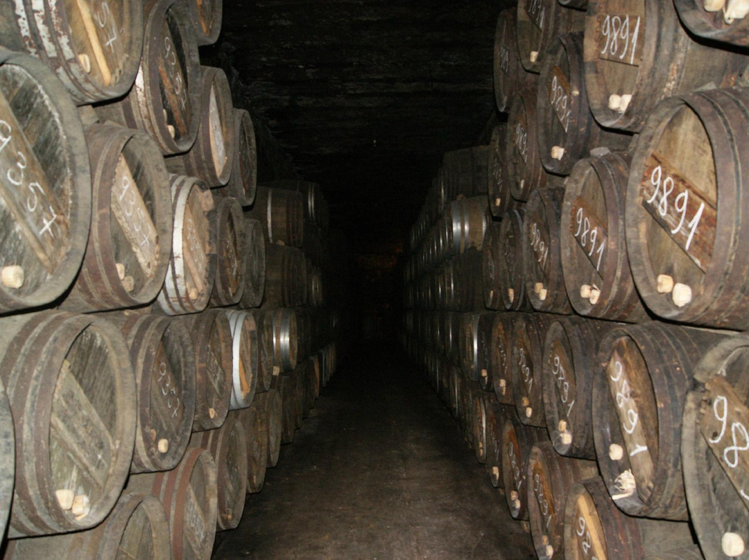 Bodegas Lopez de Heredia Vina Tondonia景点图片