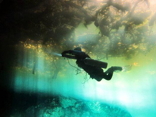 Dive Cenotes Mexico-艾库玛尔必去景点
